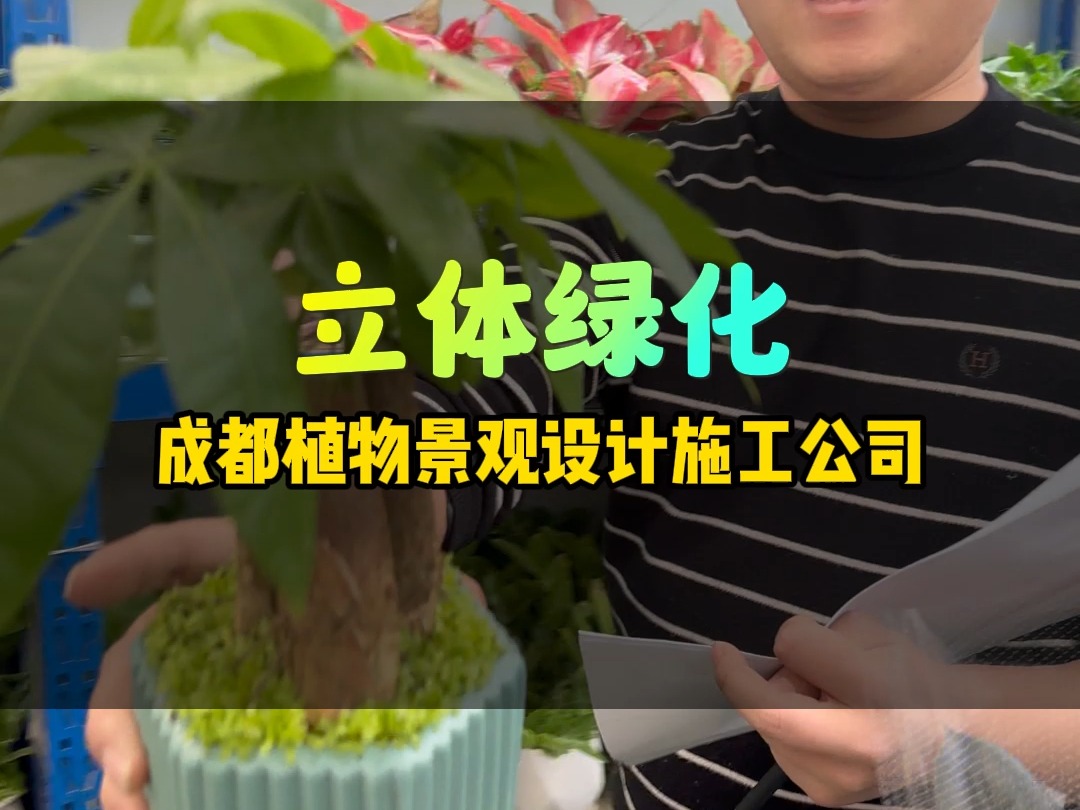 在成都做立体绿化,垂直绿化,植物景观15年可以设计施工一站式哔哩哔哩bilibili