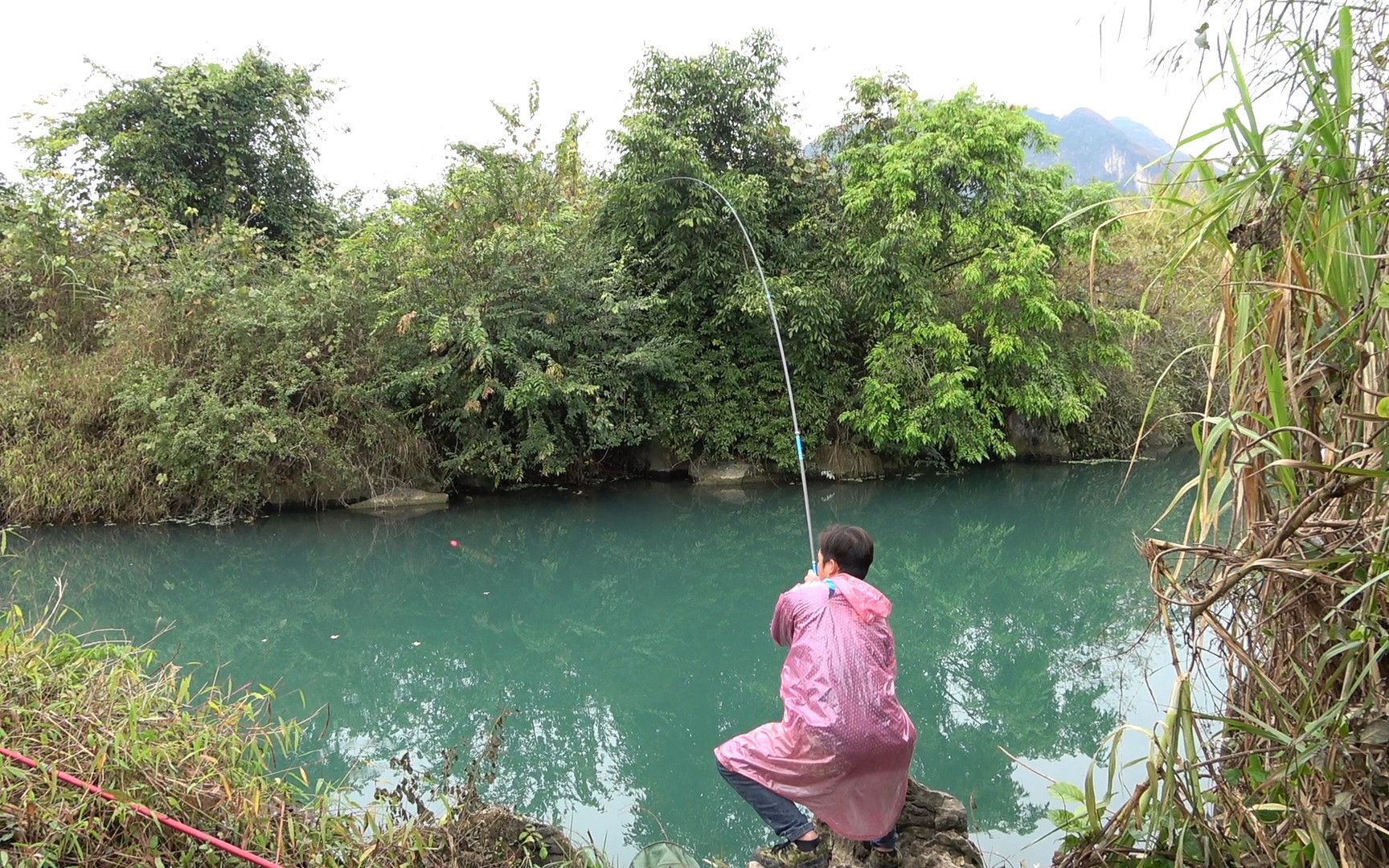 [图]小伙河边钓鱼，20斤玉米打窝，引来鱼王上钩狂拉不出水面，刺激