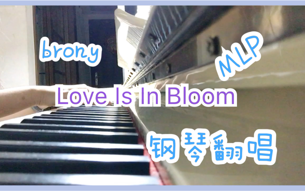 [图]【brony】钢琴翻唱Love Is In Bloom