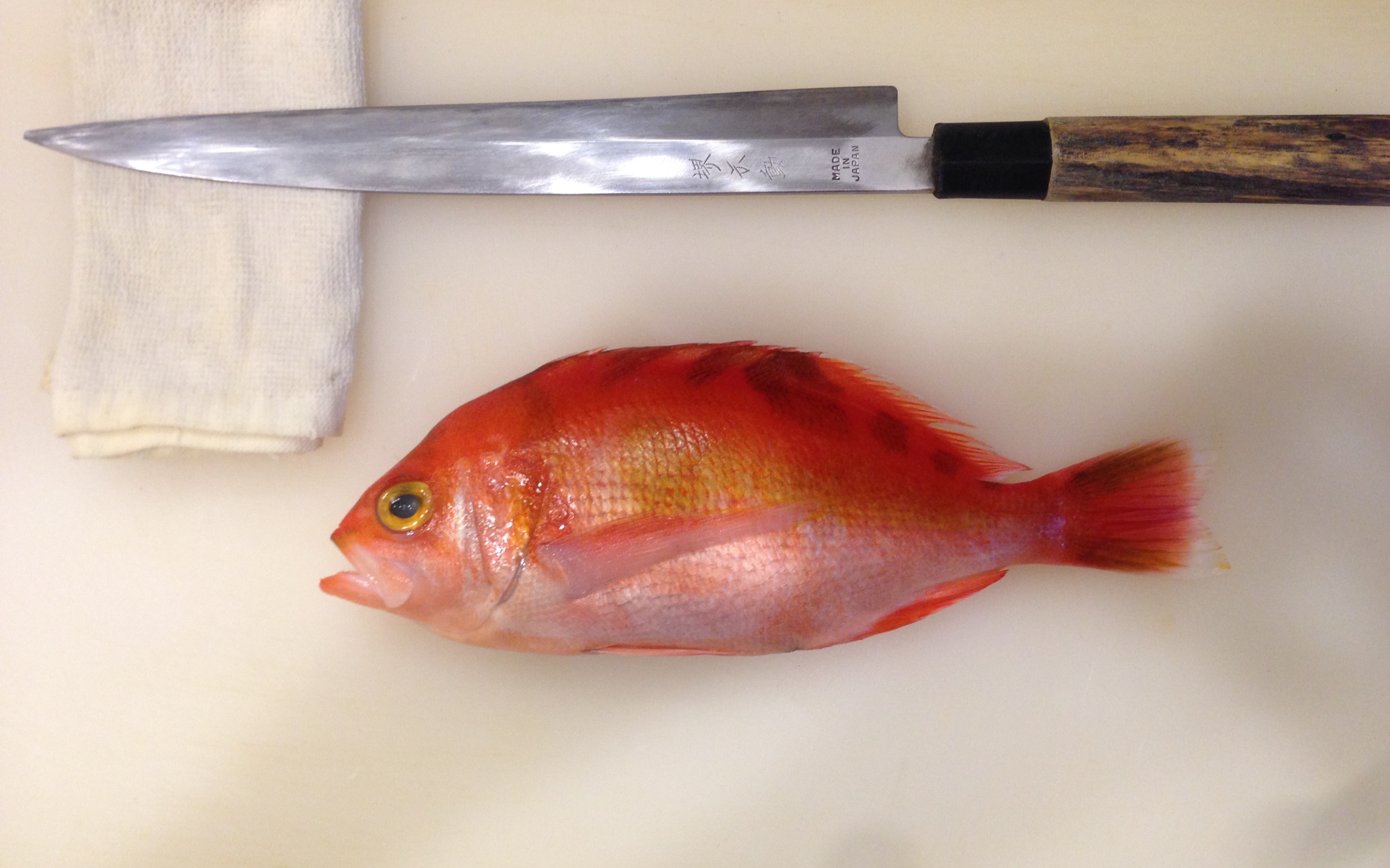 郑先生的料理—赤伊佐木(鸡鱼)_哔哩哔哩 (゜-゜)つロ 干杯~-bilibili