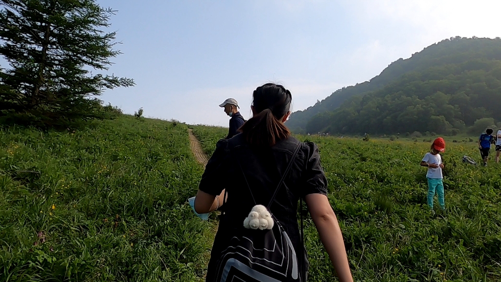 [图]百花山 百花草甸