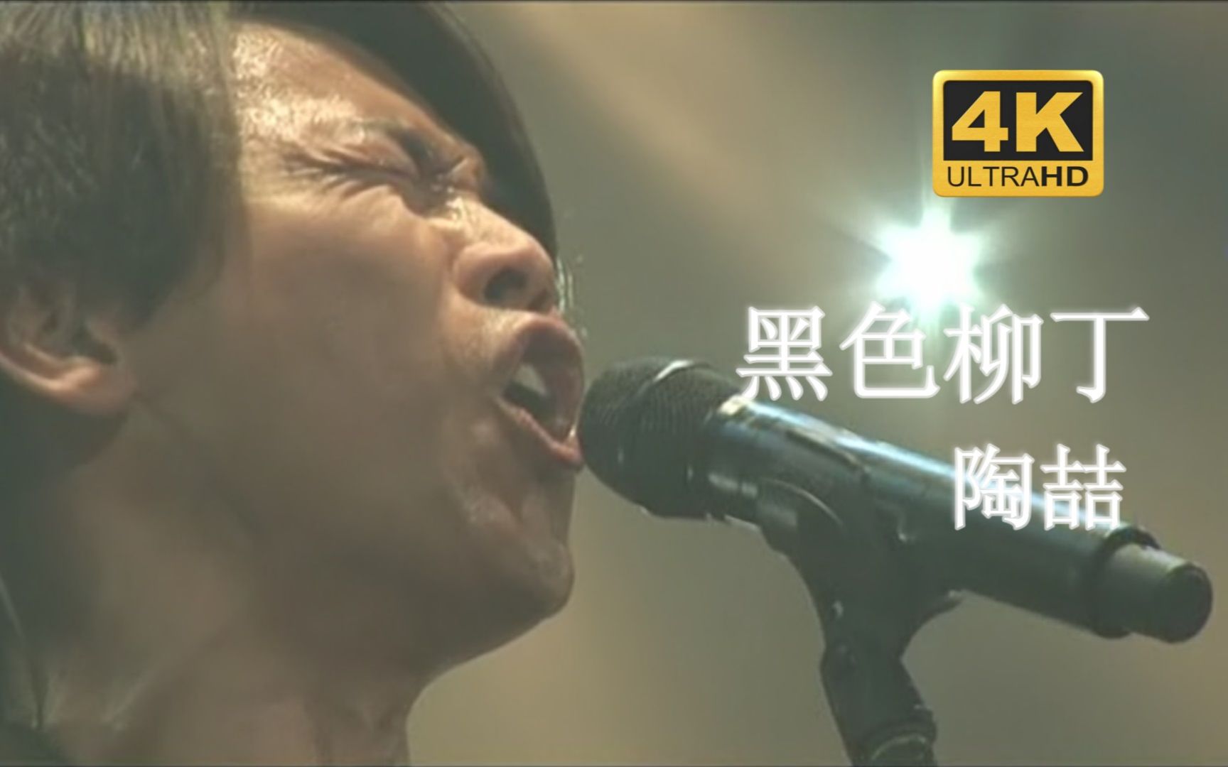 [图]【DVD修复.Live'06】陶喆《黑色柳丁》陶式摇滚~