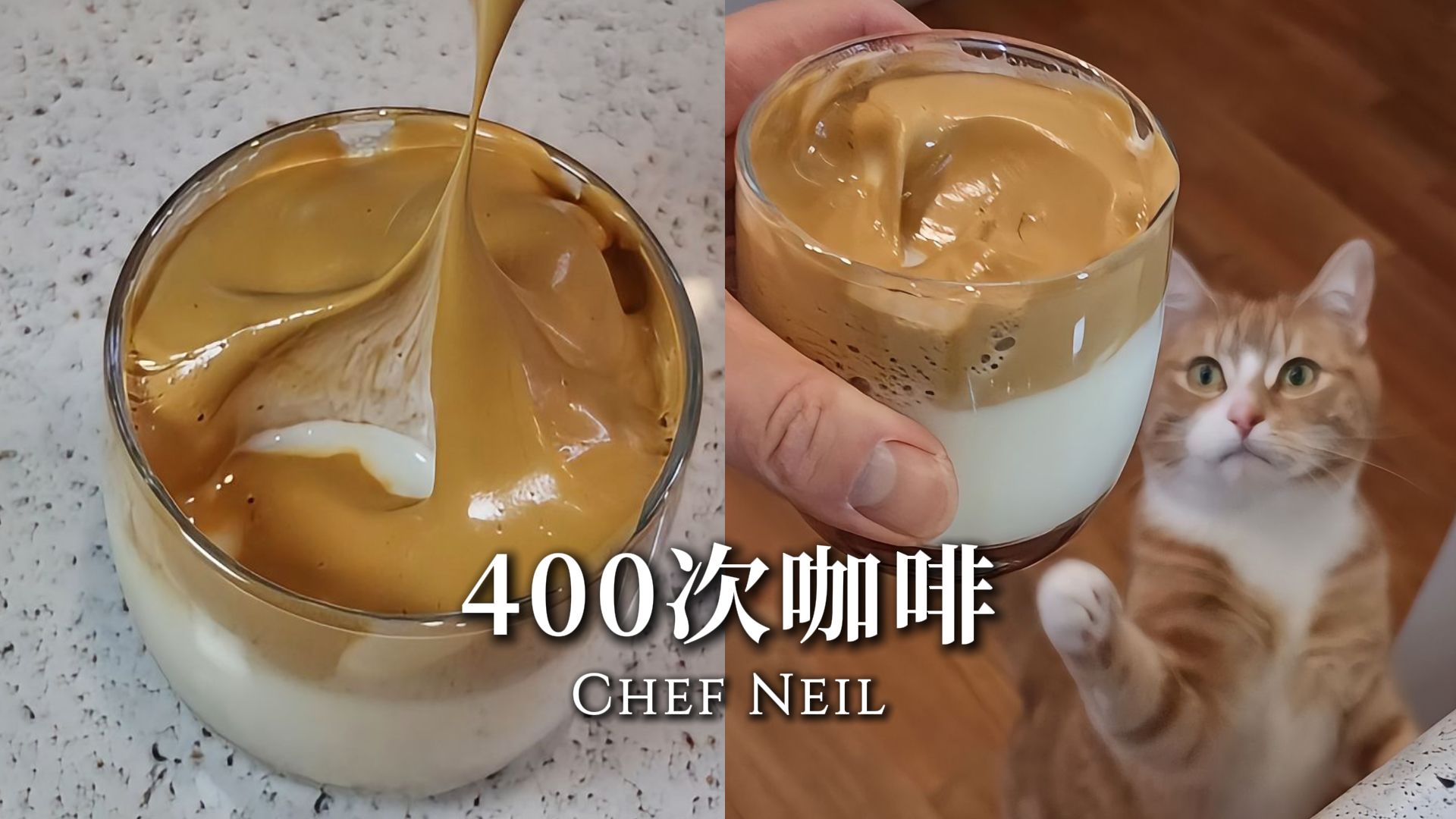 【主厨Neil】400次咖啡,猫猫能喝吗?急~在线等...哔哩哔哩bilibili