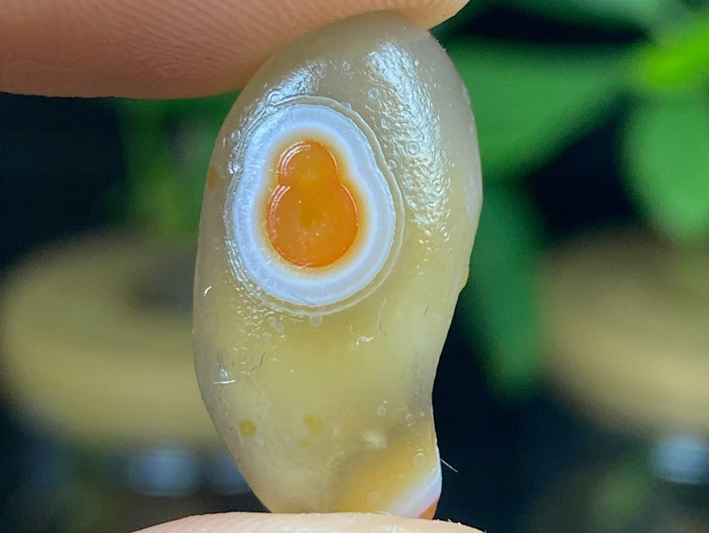 阿拉善花眼玛瑙奇石