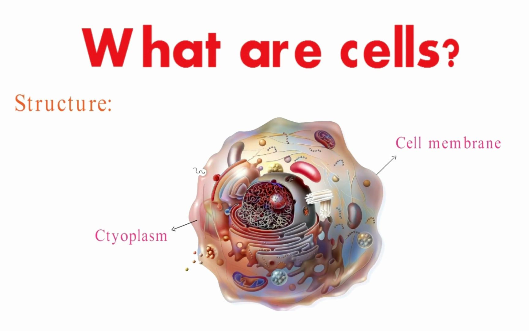 [图]What are cells--- Cells and its organelles-- Cell structure introduction-- Biolo