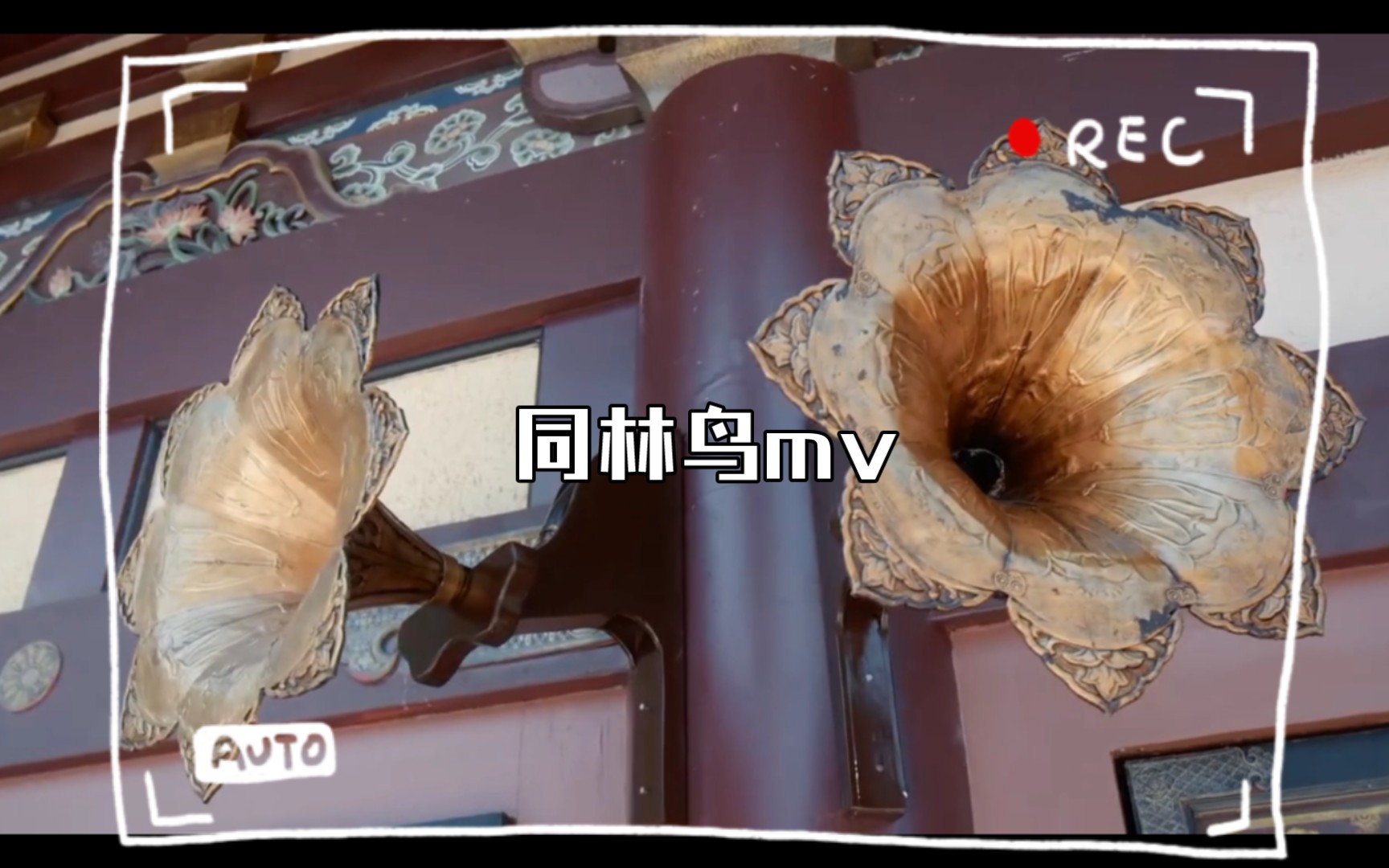 同林鸟mv.......哔哩哔哩bilibili