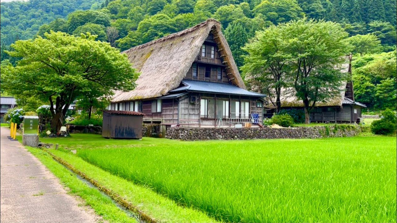 日本最美旅游景点之一,富山村,日本农村风景!哔哩哔哩bilibili