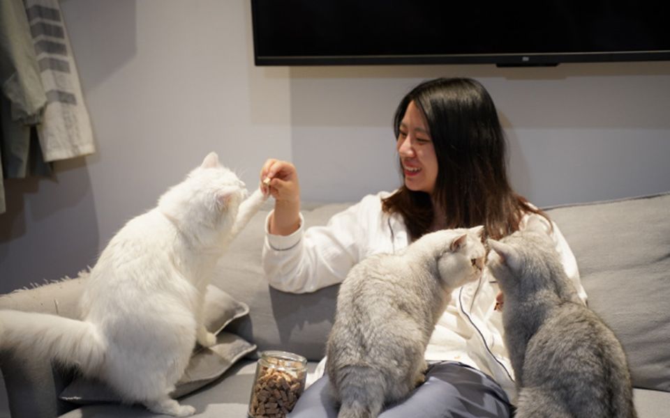 20190519_饭团小夫妻b站录屏