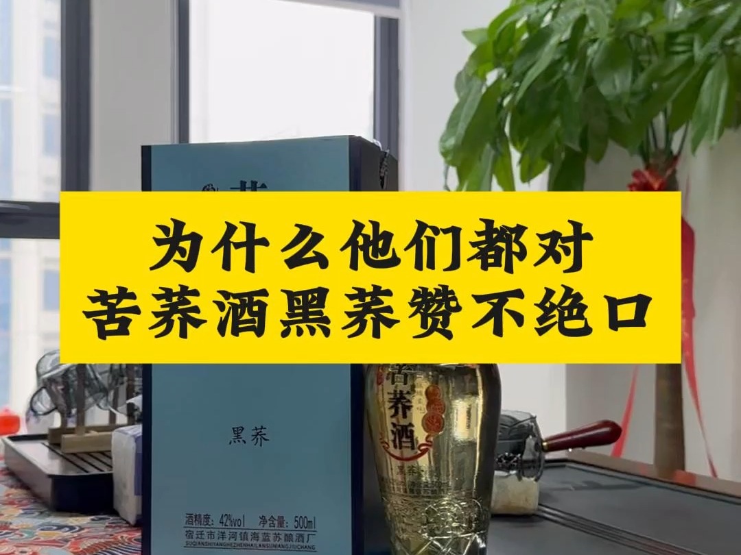 朋友们看过来了!这个就是你们一直在寻找的高品质苦荞酒黑荞哔哩哔哩bilibili