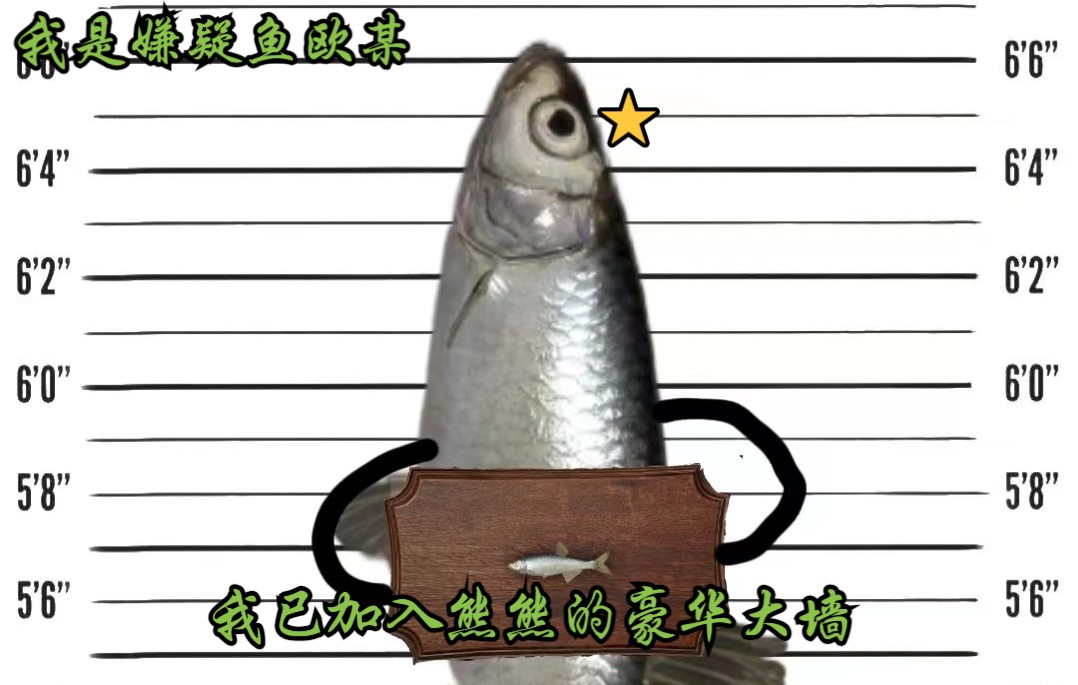 【俄罗斯钓鱼4/乔w川】嘿嘿 标本星欧鲌来咯!_哔哩哔哩_bilibili