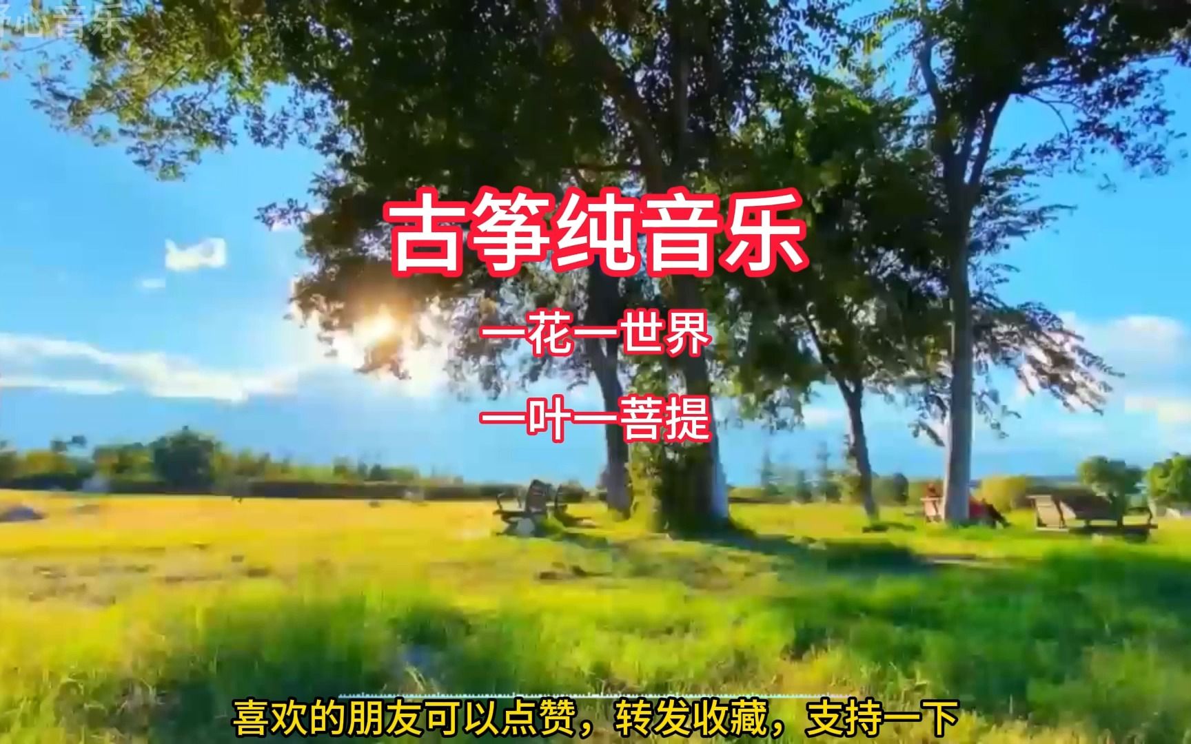 [图]古筝经典名曲，古筝纯音乐，一花一世界，一叶一菩提，太好听了