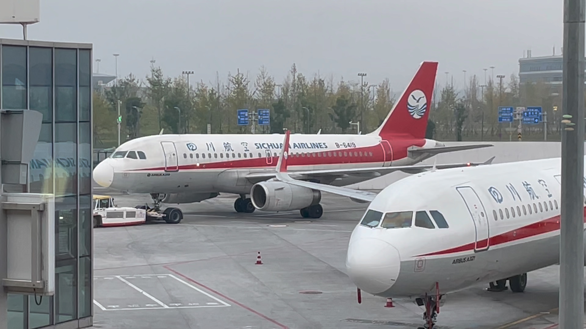 一抬头就看到b-6419