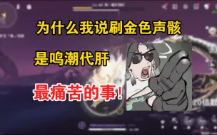 Download Video: 30块一个金色声骸？这鸣潮代肝是真黑心啊！