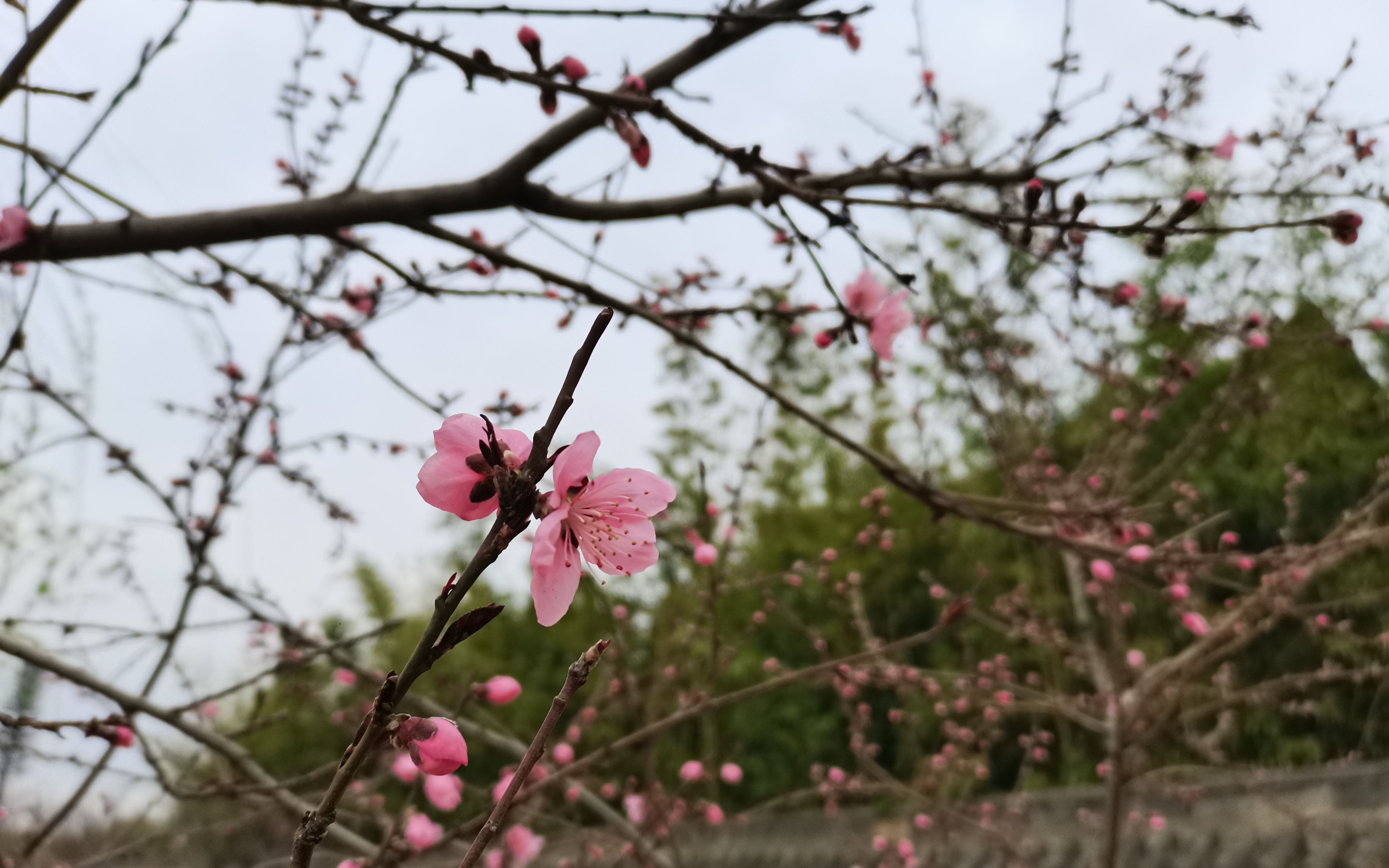 《天下一家》《一起向未来》北京冬奥会歌曲王晓岭作词《当那一天来临》战斗精神主题队列歌曲文艺两新哔哩哔哩bilibili