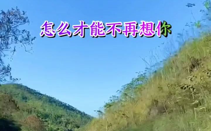 『乡村风光』向往的乡下美景绿色哔哩哔哩bilibili