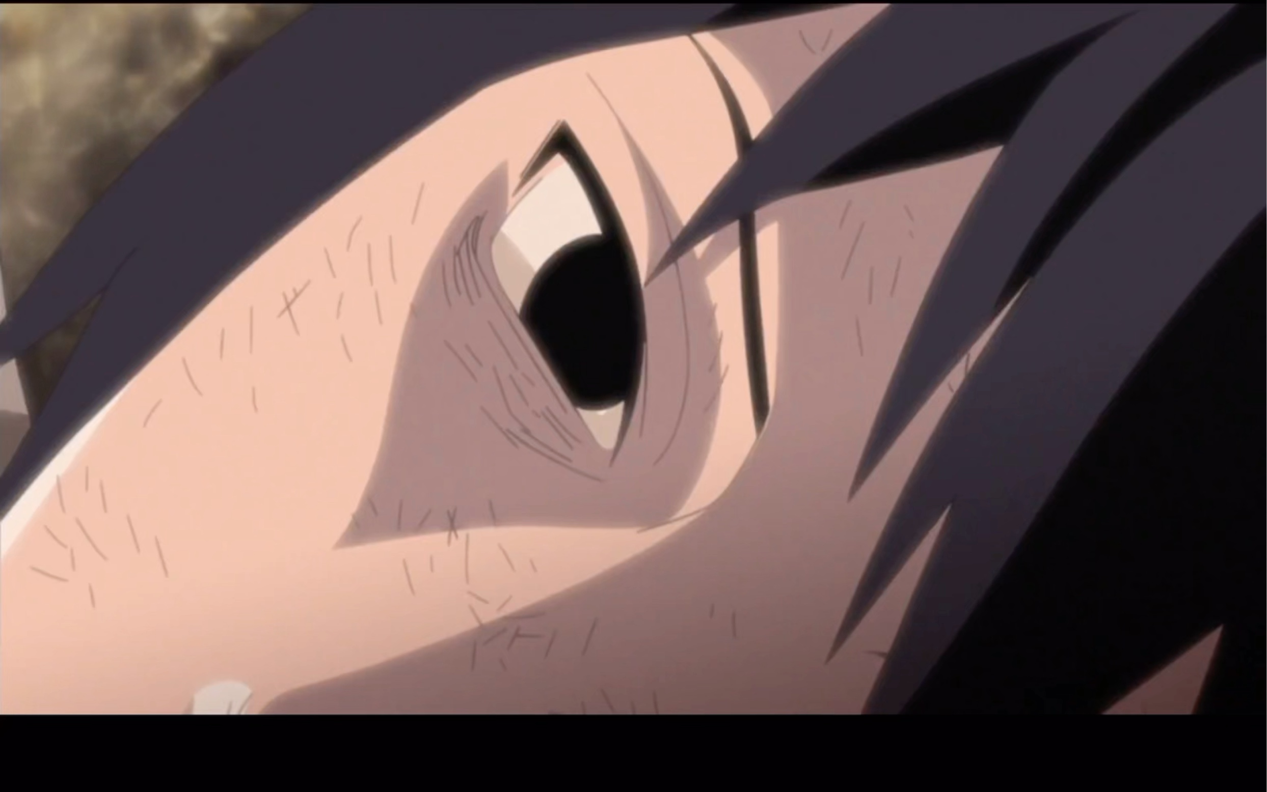 鸣人佐助-在加纳共和国离婚(片段)