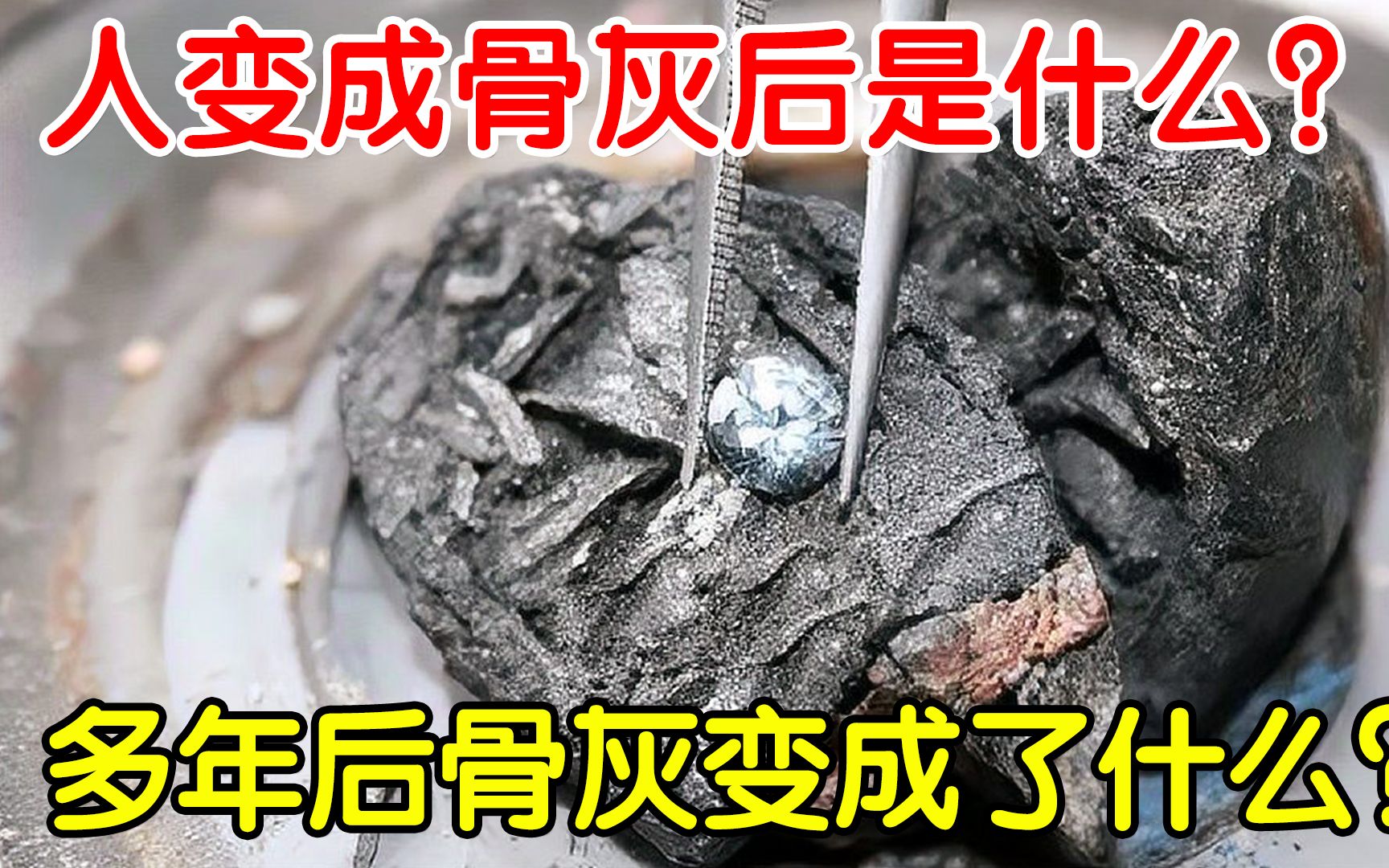 骨灰究竟是什么?多年以后会有什么变化?看完佩服大自然神奇哔哩哔哩bilibili