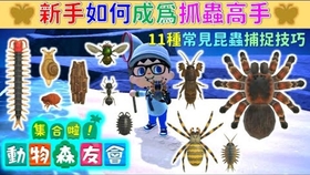 好多鲨鱼现身 六月出现的所有新生物 昆虫 鱼类 北半球 南半球 赚钱方法 新手教学攻略心得 34 集合啦 动物森友会 哔哩哔哩