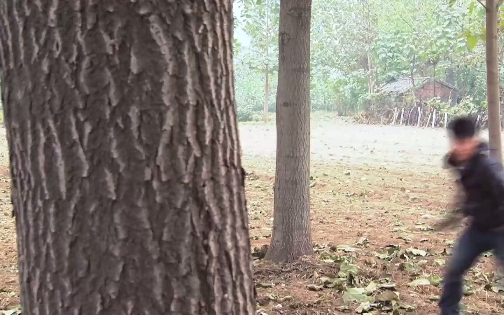 [图]蝴蝶劫：警察追捕犯人，生死关键时刻，队友神助攻成功救下警花