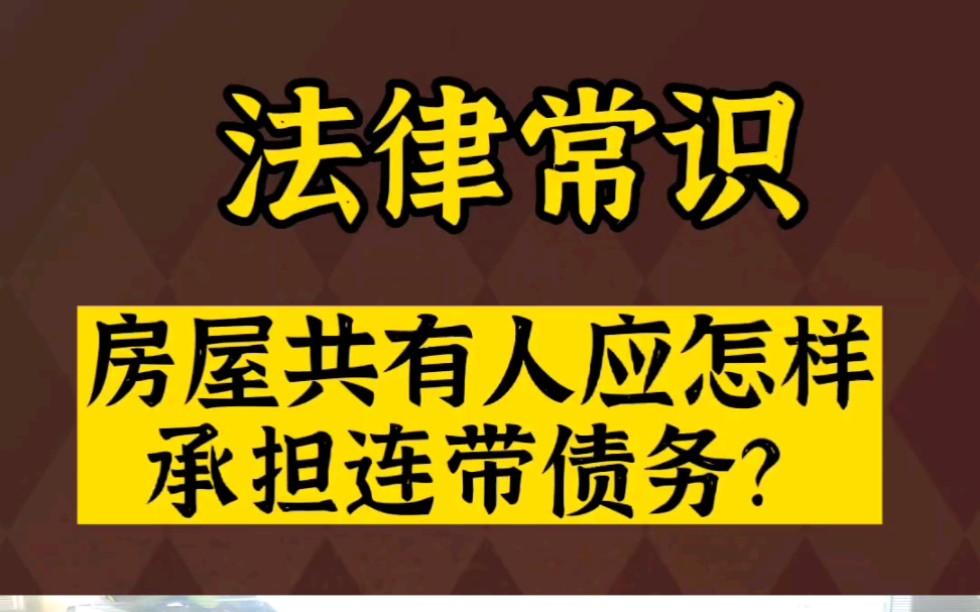 房屋共有人应怎样承担连带债务?哔哩哔哩bilibili