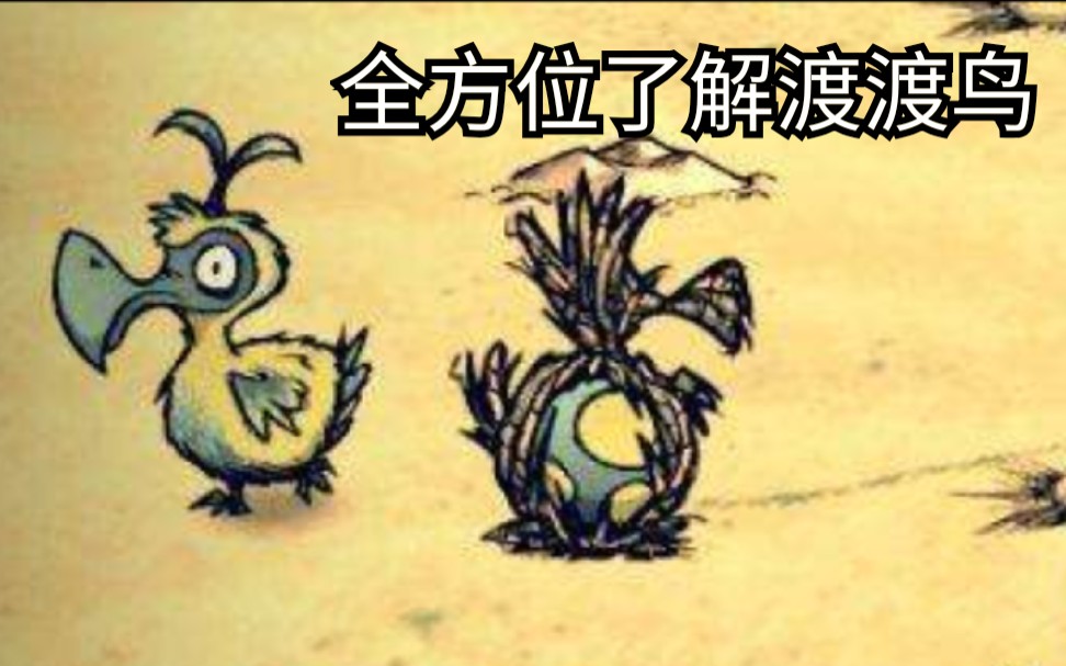 【饥荒简析生物篇】呆萌渡渡鸟哔哩哔哩bilibili