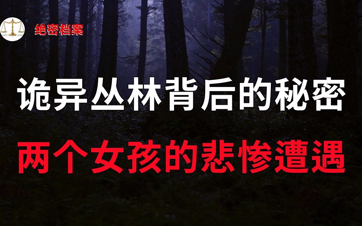 留下90张恐怖照片的雨林迷失案,诡异丛林背后的秘密,两个女孩的悲惨遭遇  大案要案纪实录  绝密档案哔哩哔哩bilibili