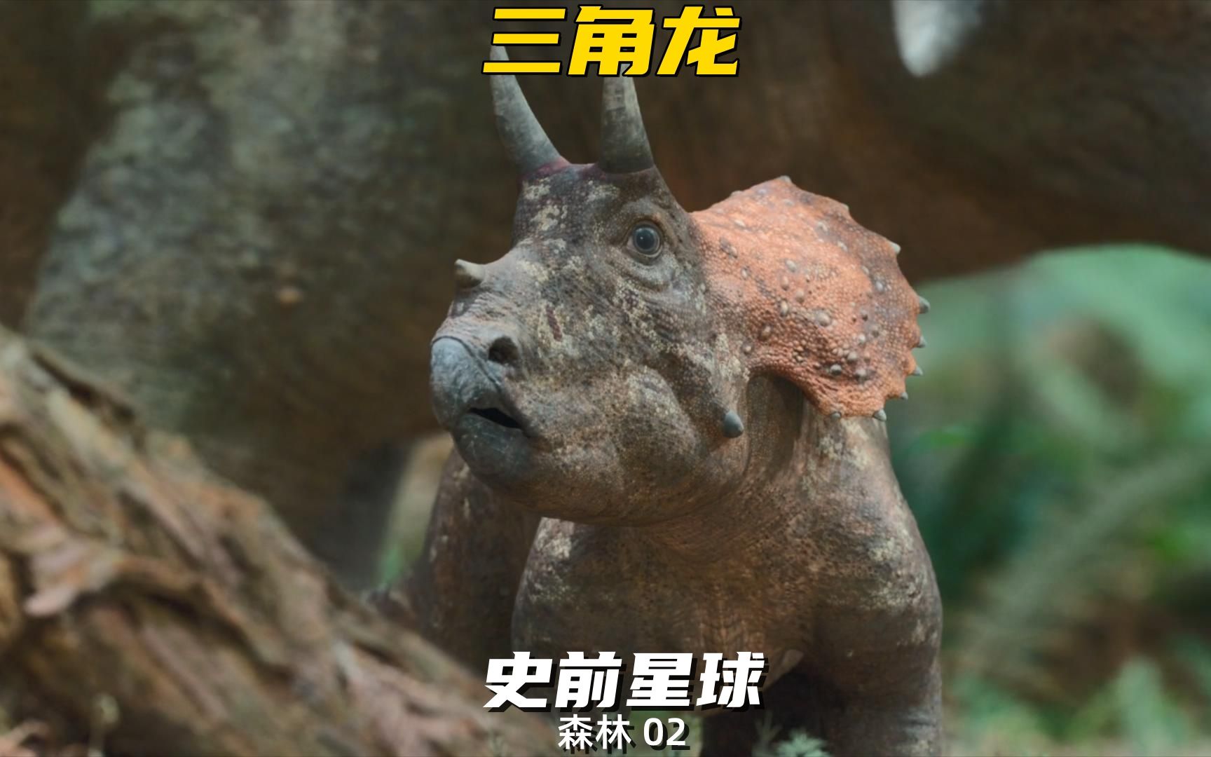 《史前星球》森林篇第2集 三角龙宝宝误食有毒植物后如何寻找解药