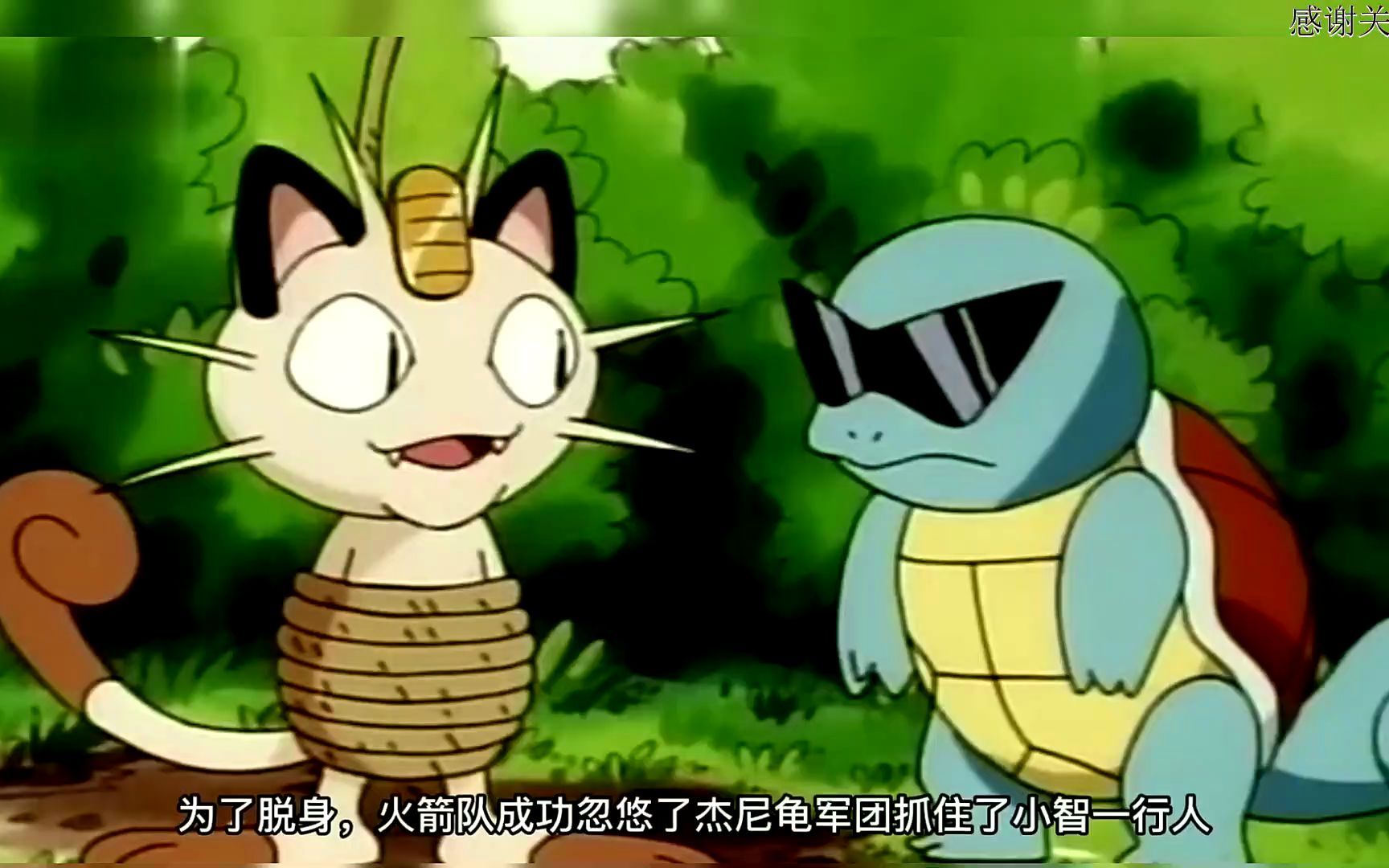 精灵宝可梦:小智的宝可梦之憨憨杰尼龟