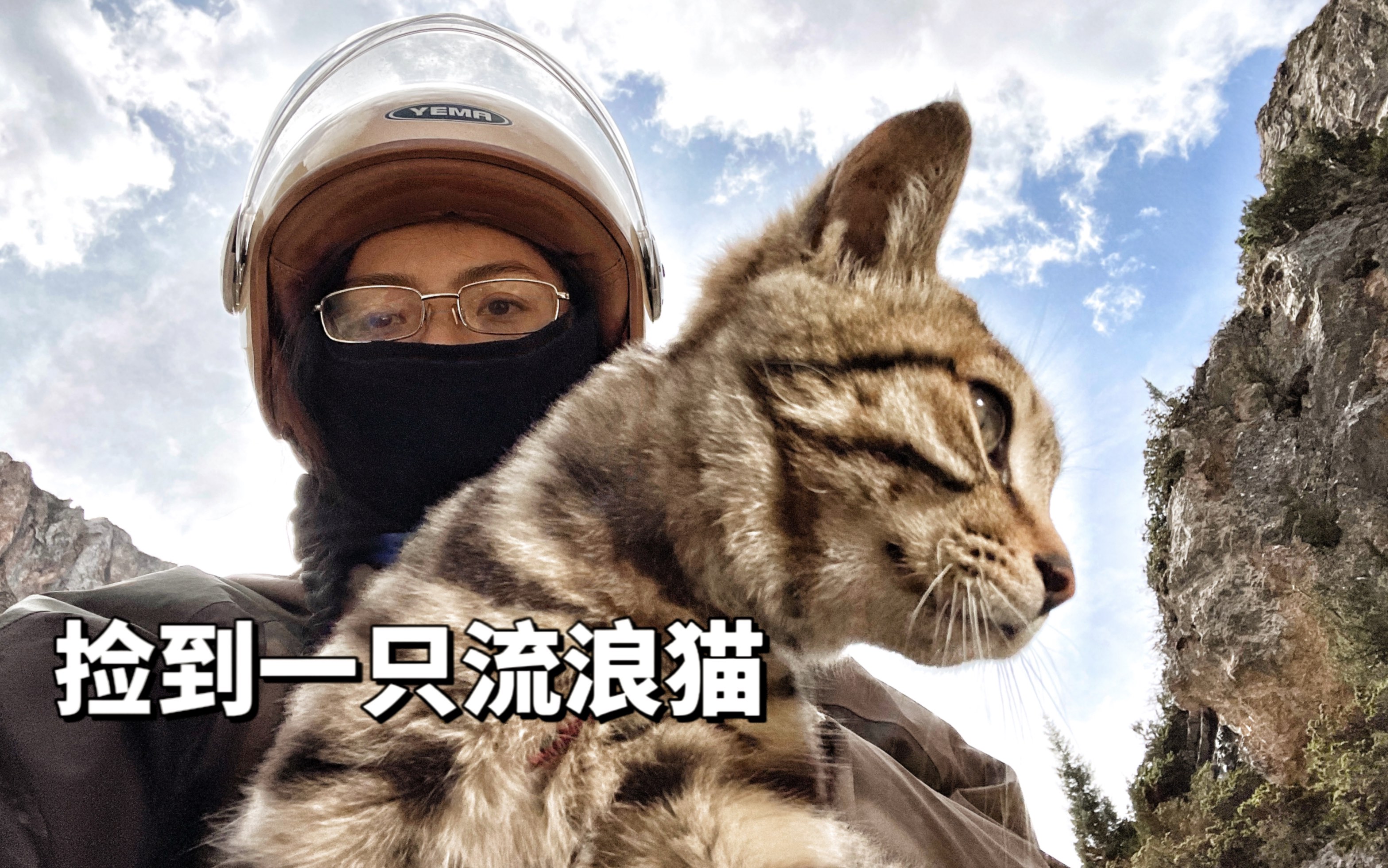 [图]一只藏猫的奇幻之旅