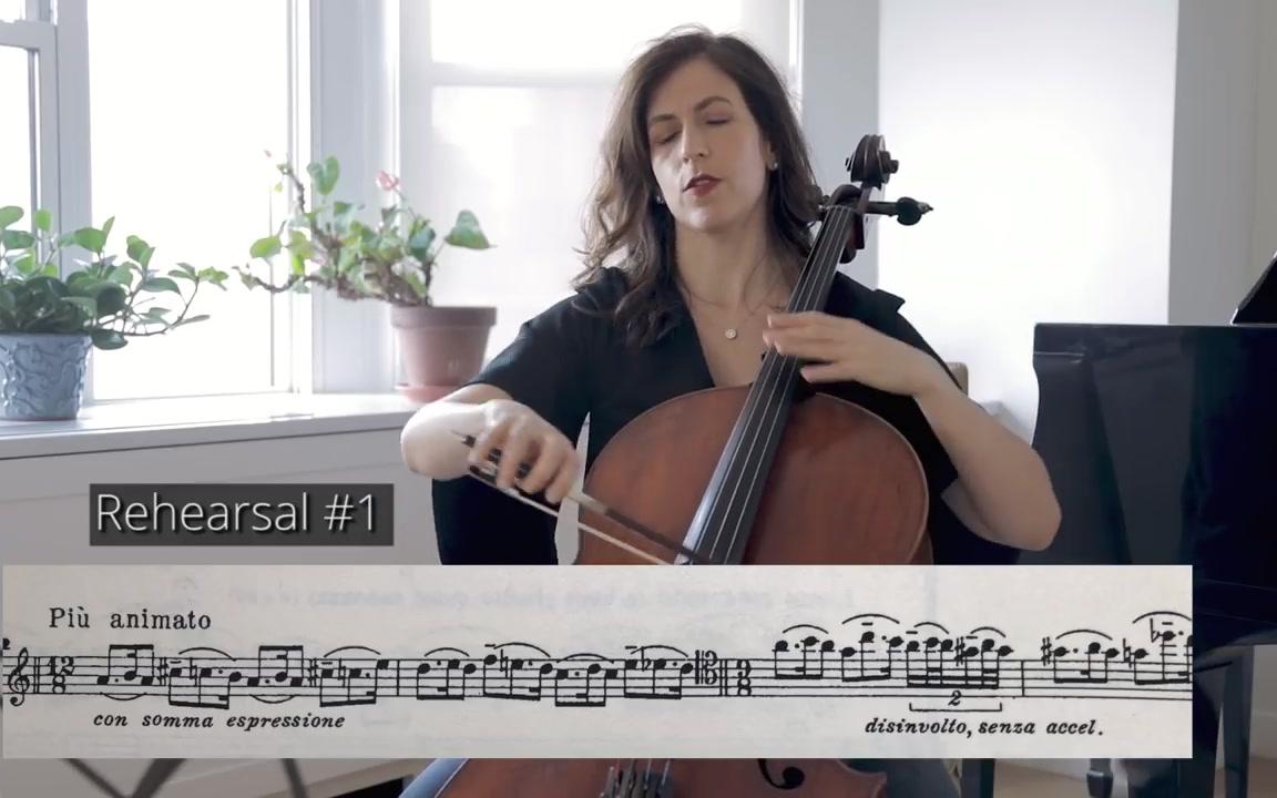 [图]Ernest Bloch's Schelomo_ Rhapsodie Hébraïque - Musings with Inbal Segev