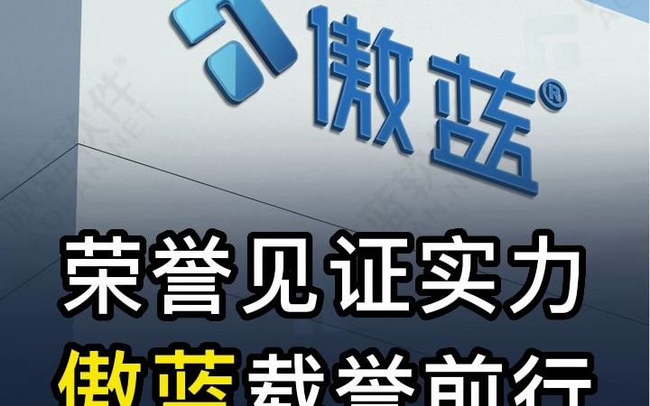 找管理软件?找傲蓝软件,13年软件研发实力值得信赖!哔哩哔哩bilibili