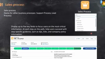 Salesforce_Admin考试_真题分析_销售和营销应用