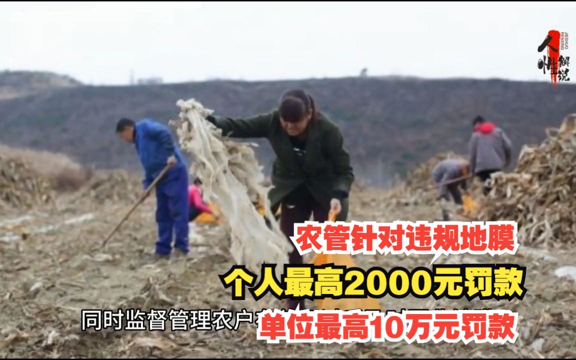 农管针对违规地膜,个人最高2000元罚款,单位最高10万元罚款哔哩哔哩bilibili