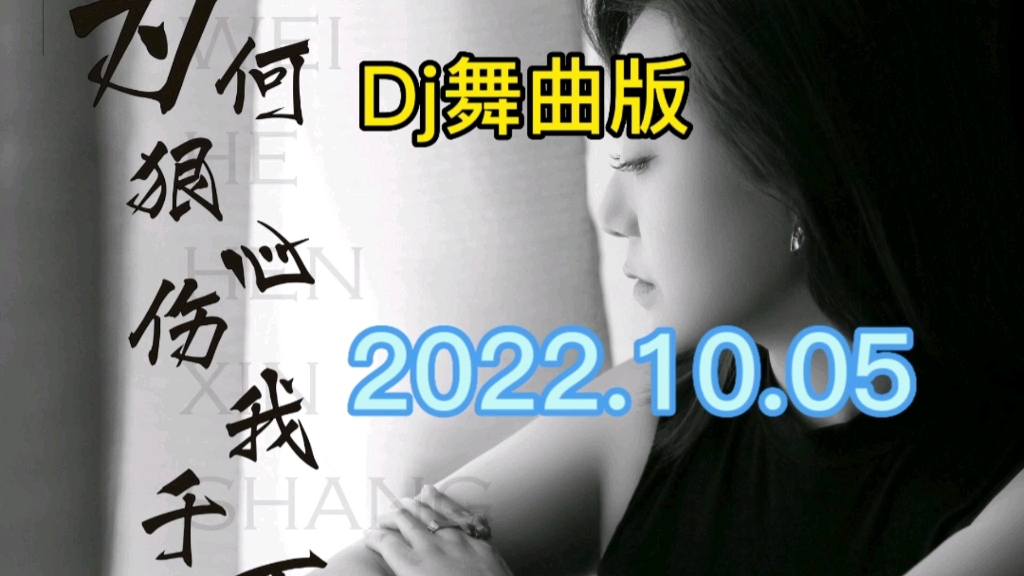 [图]【最新dj舞曲】李英作品《为何狠心伤我千百回》dj慢摇版发布上线！