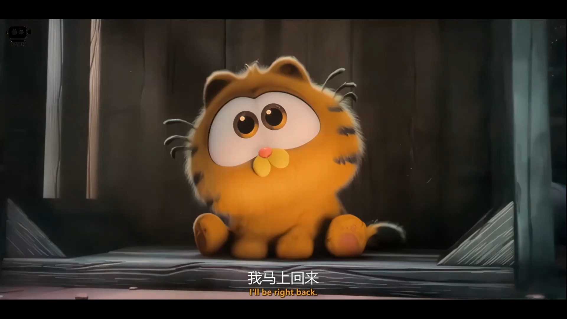 加菲猫剧场版 太好看了!!! 完整已上传