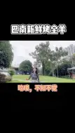 巴南人民有口福了，新鲜烤全羊，妙啊~