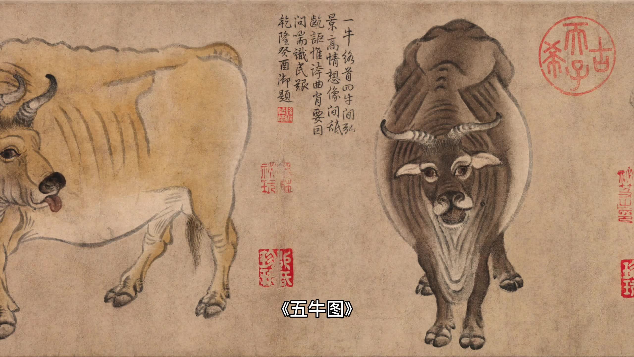 一分钟带你了解唐代韩滉《五牛图》