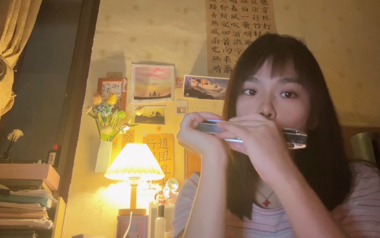 【安河桥】口琴|"我知道,那些夏天,就像青春一样回不来.