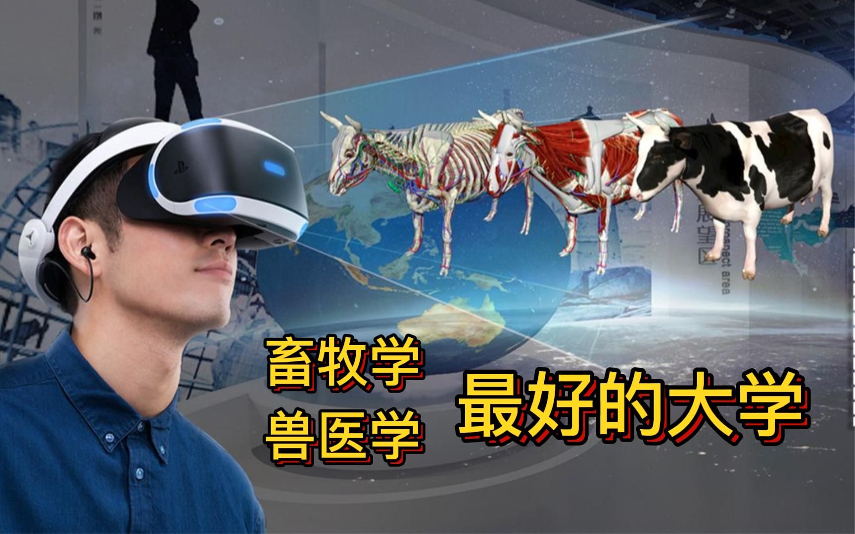 畜牧学、兽医学学科排行(软科):四川农业大学表现不错哔哩哔哩bilibili