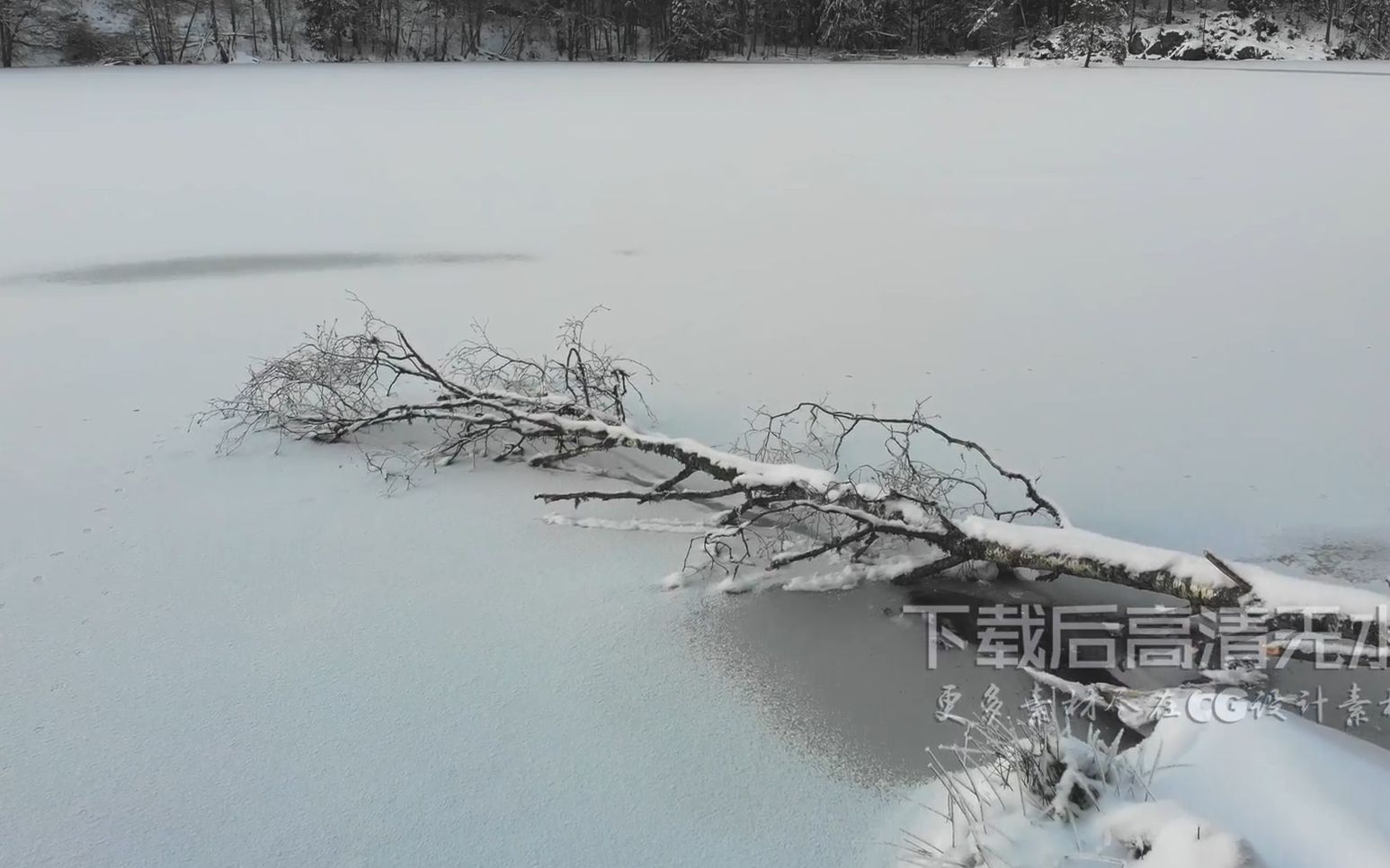 s867 2k画质超唯美宁静野外大自然白雪皑皑下雪冬季美景视频素材 剪辑合成 婚礼婚庆 开场视频 舞台背景 动态视频素材 视频特效 晚会视哔哩哔哩bilibili