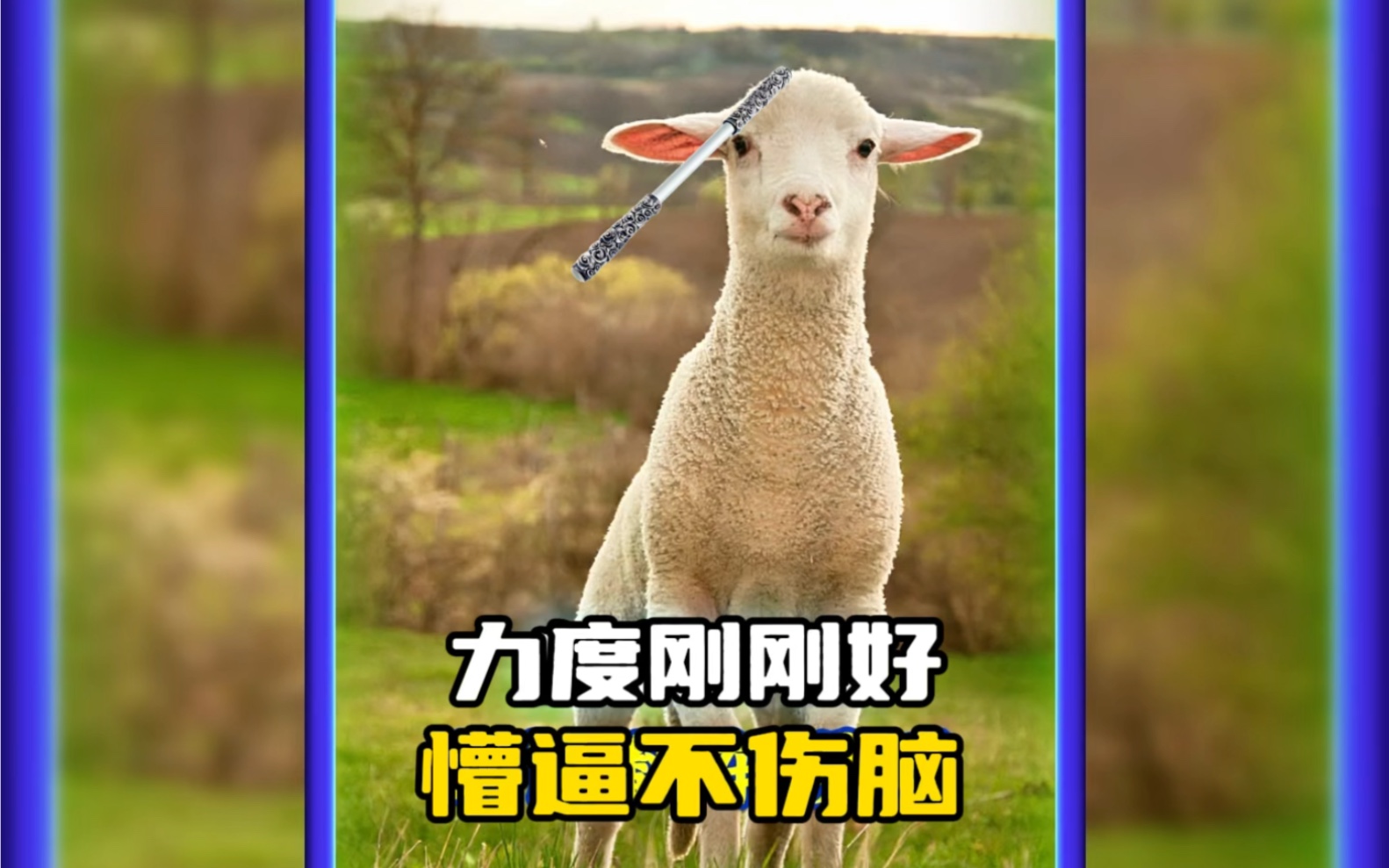 力度刚刚好 懵逼不伤脑,是不是好头一敲就知道