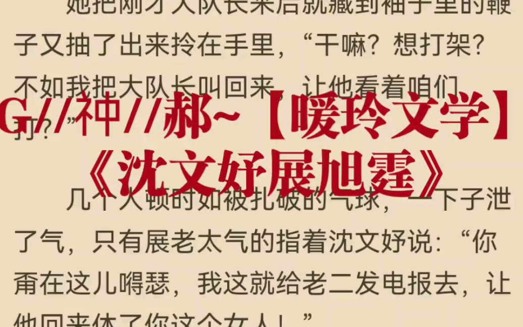 经典小说推荐《沈文妤展旭霆》又名《沈文妤展旭霆》哔哩哔哩bilibili