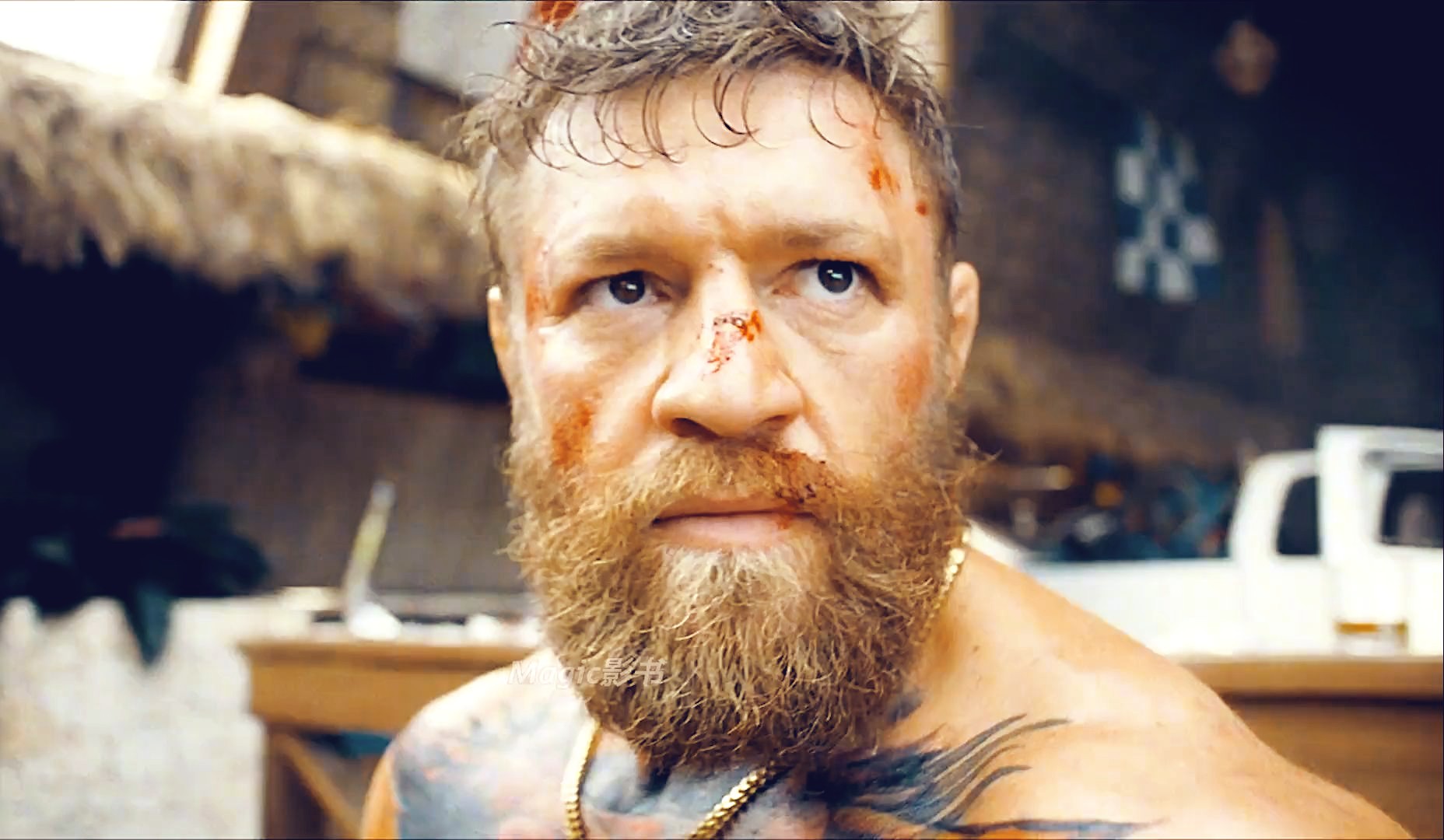 【完整版】《新威龙杀阵》未删减(已上传)