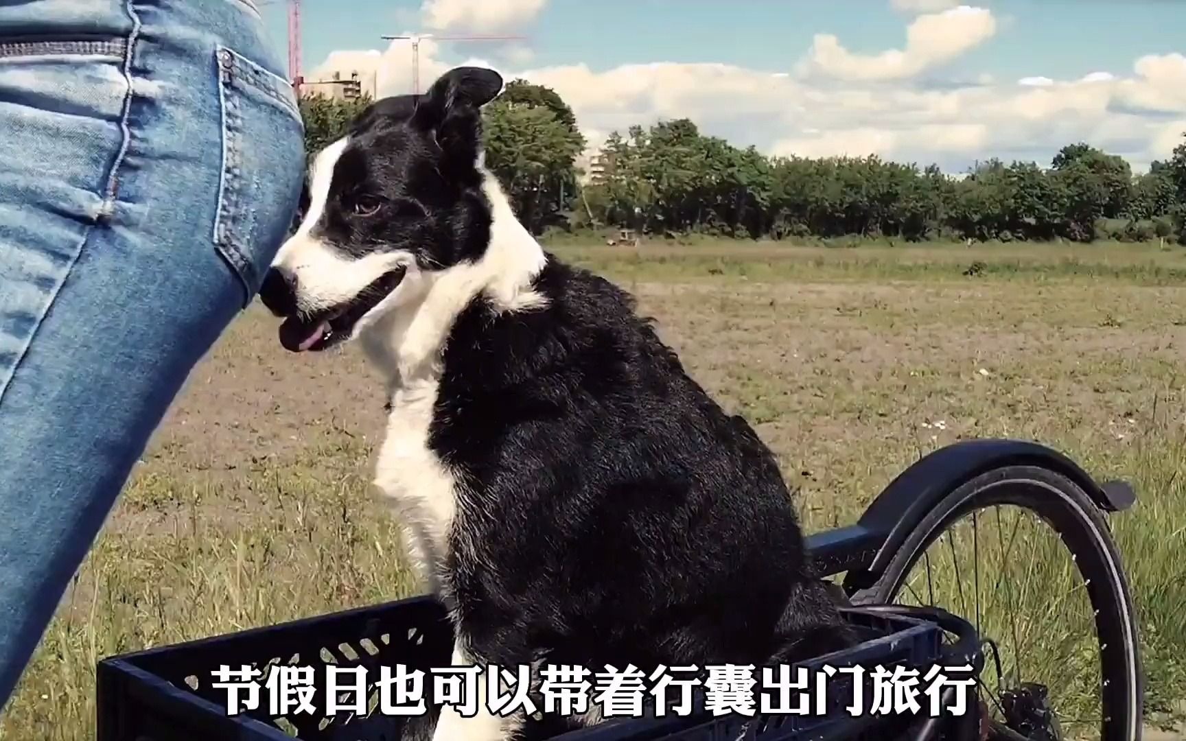 变形自行车,可自由变长缩短