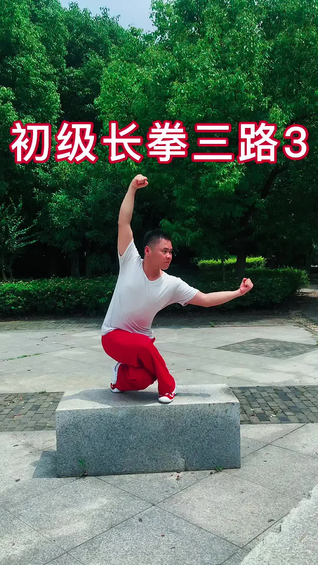 武术初级长拳 大一图片