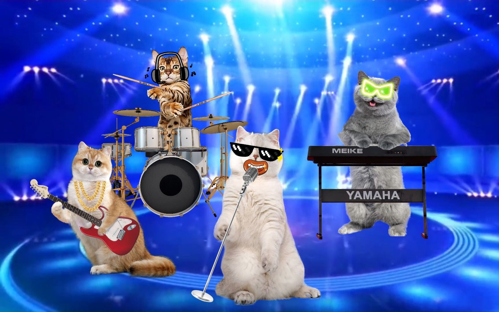 小猫咪乐队魔性mv倾情演绎《你要跳舞吗》