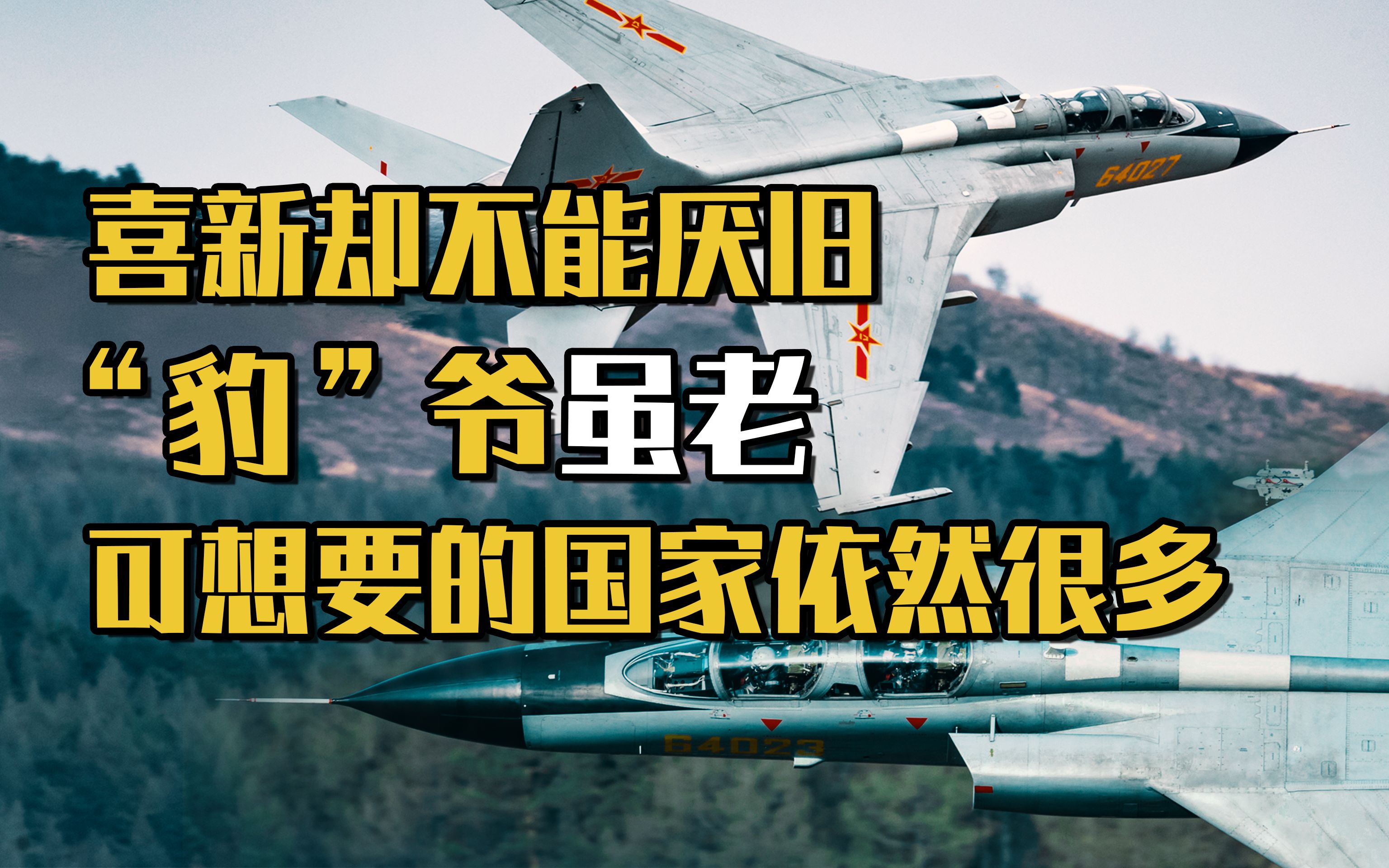 【解放军先进武器系列】喜新却不能厌旧,“豹”爷虽老,可想要的国家依然很多哔哩哔哩bilibili