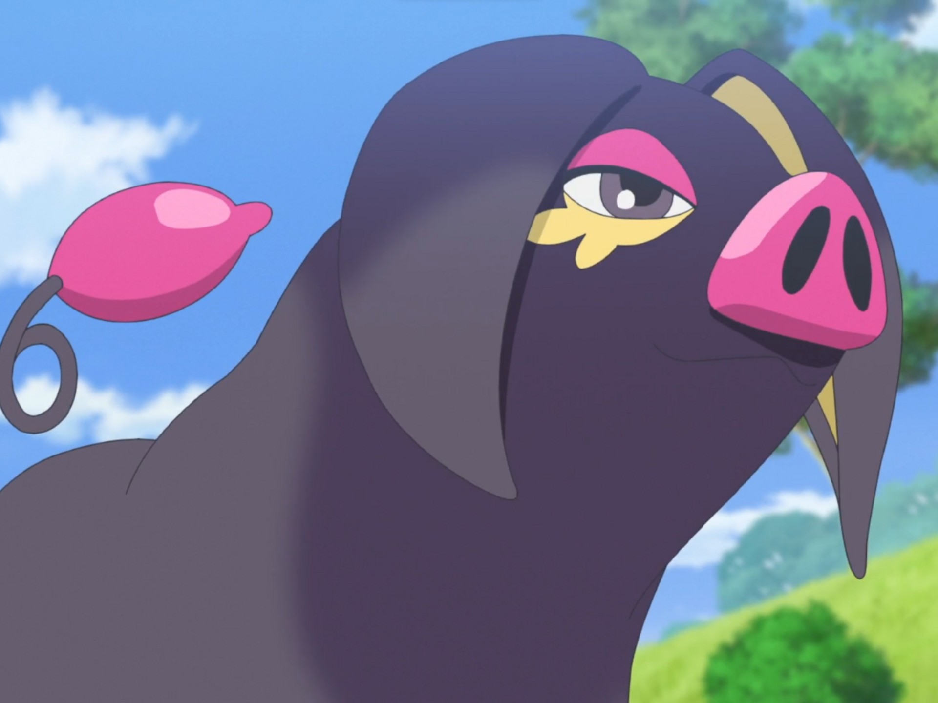 【pokémonshowdown】雄性飘香豚立大功