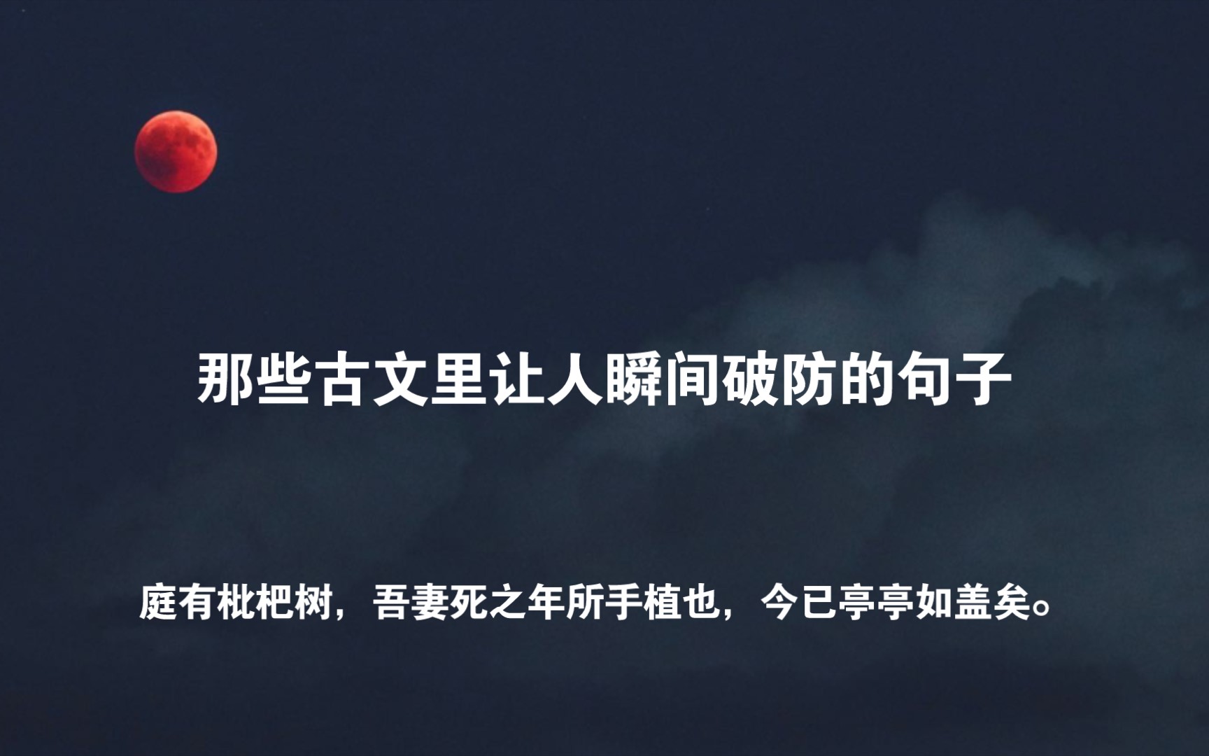 [图]那些古文里让人瞬间破防的句子“庭有枇杷树，吾妻死之年所手植也，今已亭亭如盖矣。”