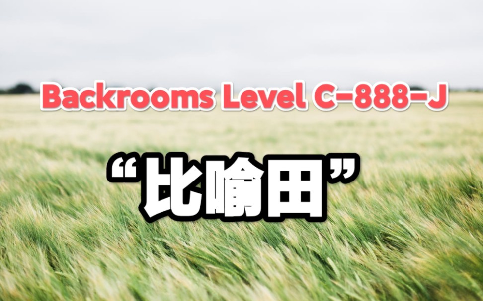 【Backrooms】后室搞笑层级 Level C888J  “比喻田”哔哩哔哩bilibili